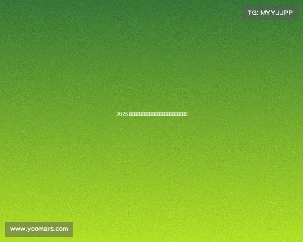 2025 款本田奥德赛精英版评测——物有所值的豪华家庭车